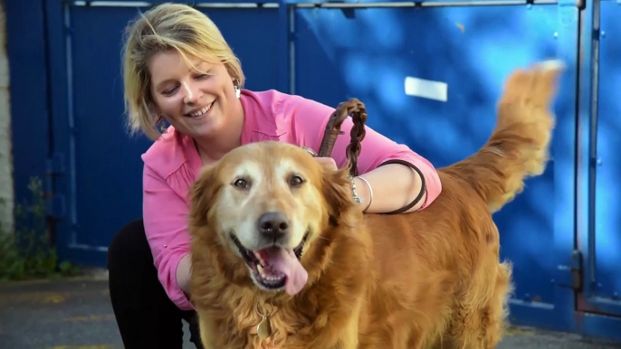 Garde d'animaux de compagnie Marne 51100 Reims avec Joséphine