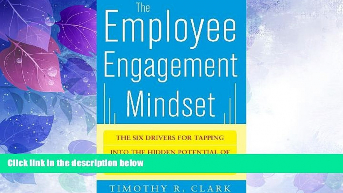 Big Deals  The Employee Engagement Mindset: The Six Drivers for Tapping into the Hidden Potential