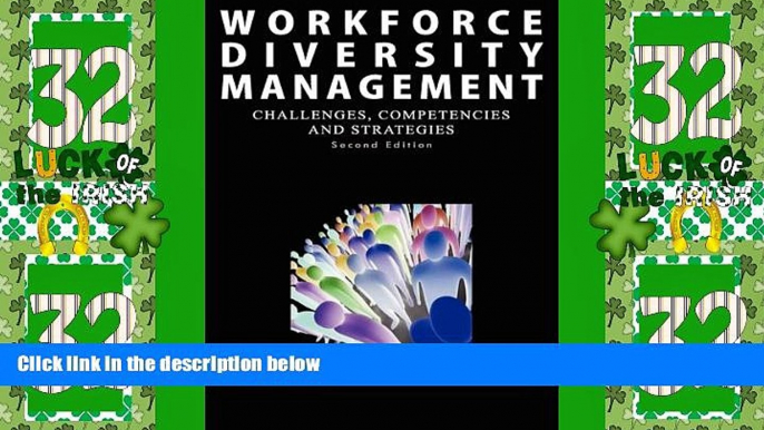 Big Deals  Workforce Diversity Management: Challenges, Competencies and Strategies Second Edition