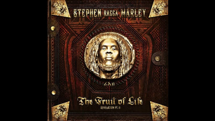 Stephen Marley - Intro