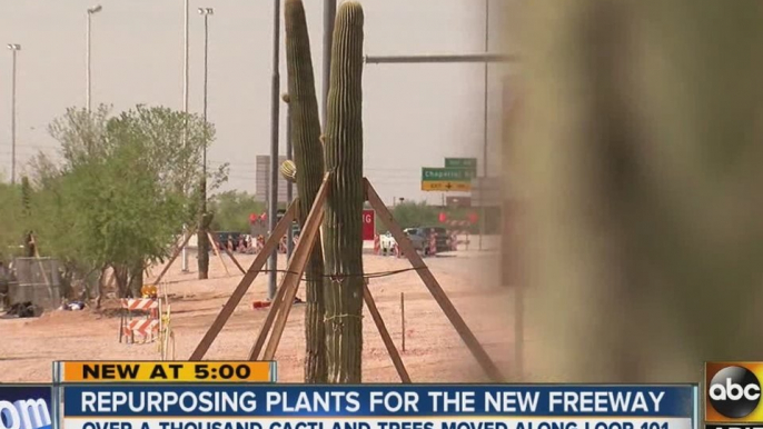 Repurposing plants for the freeway