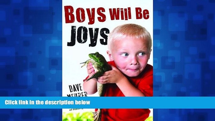 eBook Download Boys Will Be Joys