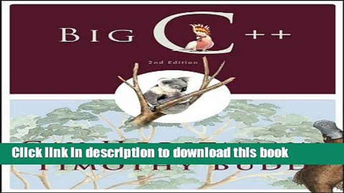 Books Big C++ Full Online