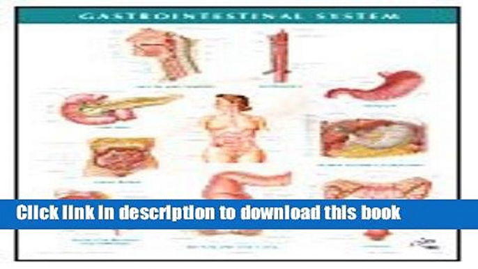 Books Netter Anatomy Charts: Gastrointestinal System Chart, 1e (Netter Charts) Free Online