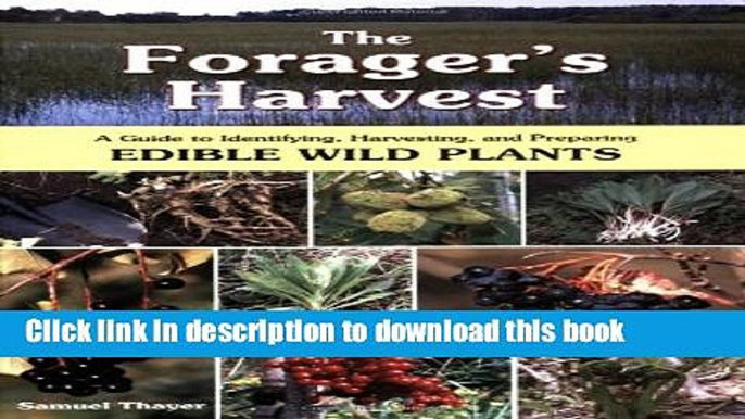 Books The Forager s Harvest: A Guide to Identifying, Harvesting, and Preparing Edible Wild Plants