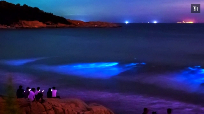 Chine : quand la mer devient fluorescente