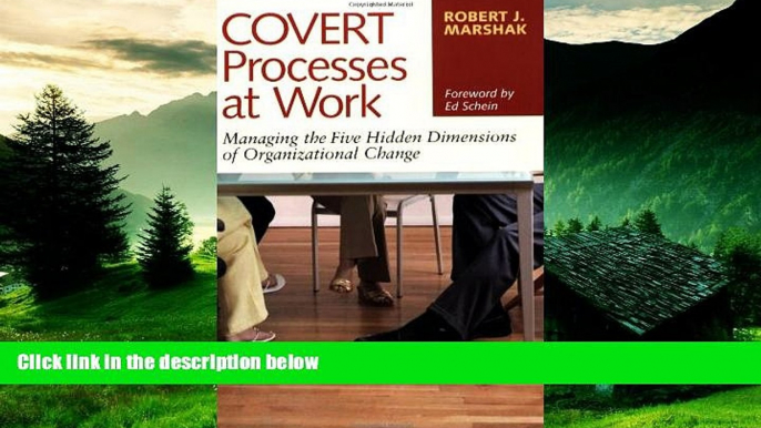 Must Have  Covert Processes at Work : Managing the Five Hidden Dimensions of Organizational