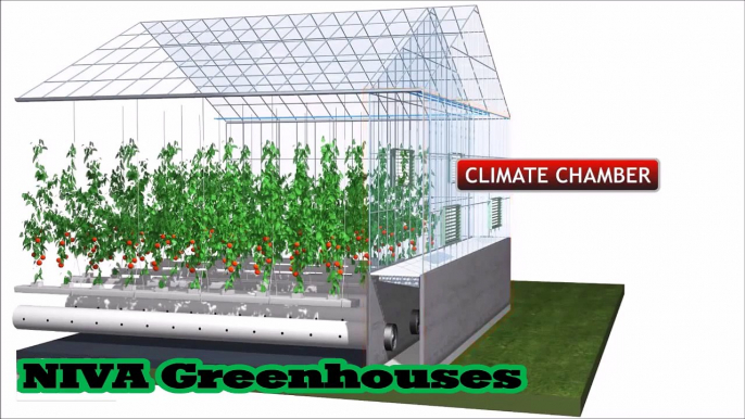 Niva greenhouse   Active Climate   Теплицы 5 го поколения