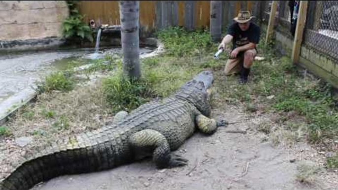 Gator Trainer Shares His Love of Star Wars With His Gators