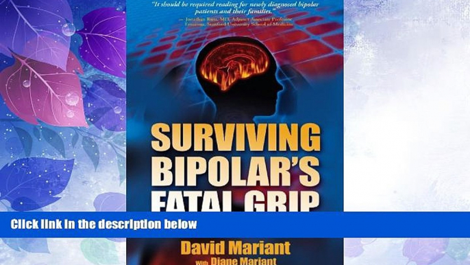 Big Deals  Surviving Bipolar s Fatal Grip: The Journey to Hell and Back  Free Full Read Best Seller