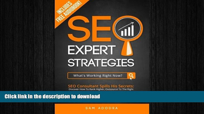 READ THE NEW BOOK SEO Expert Strategies: SEO Consultant Spills His Secrets - Discover How To Rank