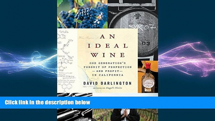 READ book  An Ideal Wine: One Generation s Pursuit of Perfection - and Profit - in California