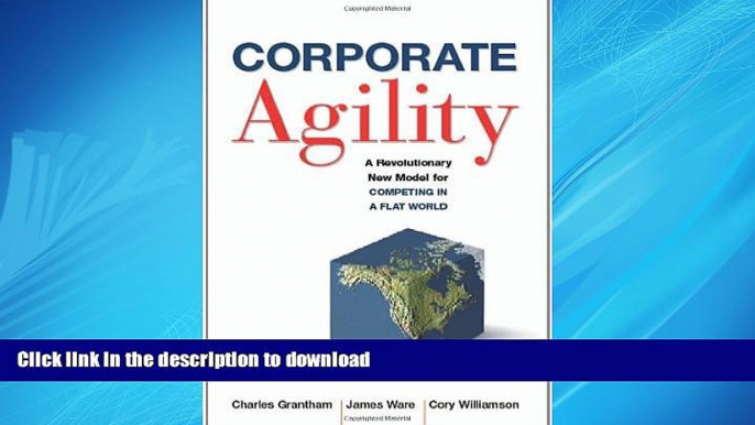 READ THE NEW BOOK Corporate Agility: A Revolutionary New Model for Competing in a Flat World READ