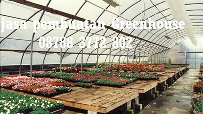 jasa pasang greenhouses  08788 3772 802