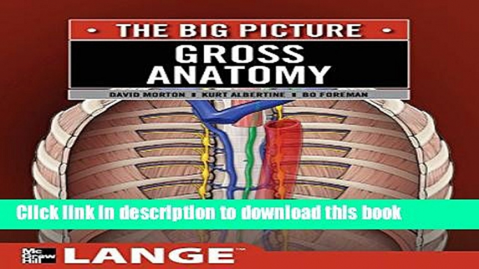 [Popular Books] Gross Anatomy: The Big Picture Full Online