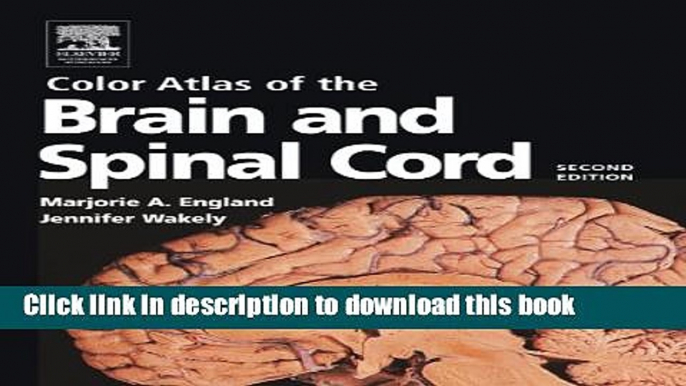 [Download] Color Atlas of the Brain and Spinal Cord, 2e Kindle Collection