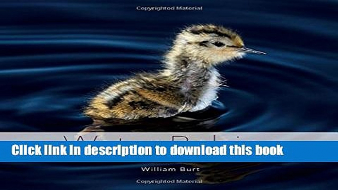 [Download] Water Babies: The Hidden Lives of Baby Wetland Birds Hardcover Online