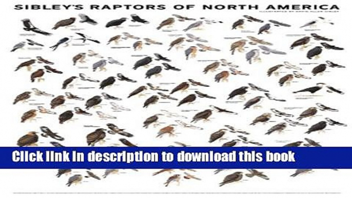 [Download] Sibley s Raptors of North America Kindle Collection