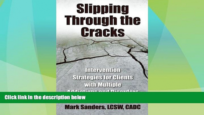 READ FREE FULL  Slipping Through the Cracks: Intervention Strategies for Clients with Multiple