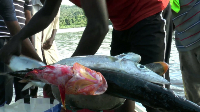 La Minute du Parc naturel marin de Mayotte - "Le SIH c'est quoi ?" - Shimaoré