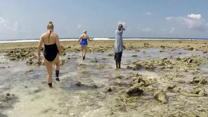 Indian Ocean Reef Walk with Captain Hassan