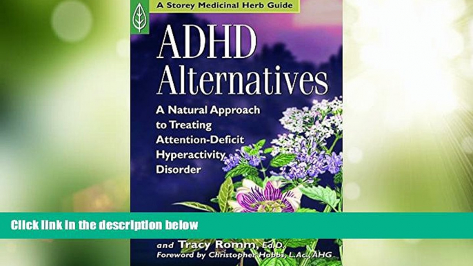 Big Deals  ADHD Alternatives: A Natural Approach to Treating Attention Deficit Hyperactivity