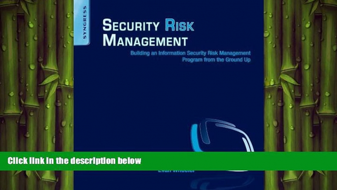 READ book  Security Risk Management: Building an Information Security Risk Management Program