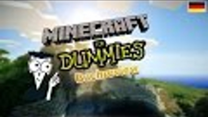 Nur für Dummies? | Buchreview "MINECRAFT für Dummies" von Jacob Cordeiro