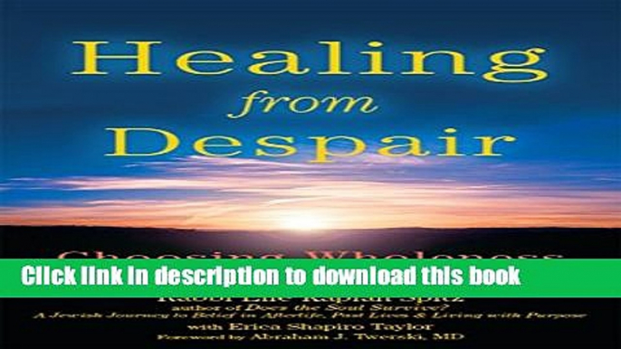 [Popular] Healing from Despair: Choosing Wholeness in a Broken World Hardcover Collection