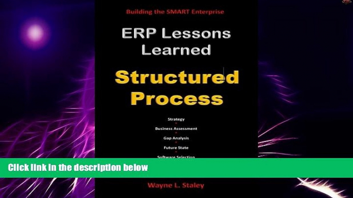 Big Deals  ERP Lessons Learned - Structured Process  Best Seller Books Most Wanted