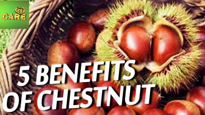 5 Benefits Of Chestnut | Care Tv