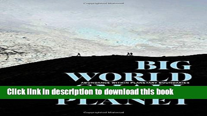 [Popular] Big World, Small Planet: Abundance within Planetary Boundaries Paperback Online