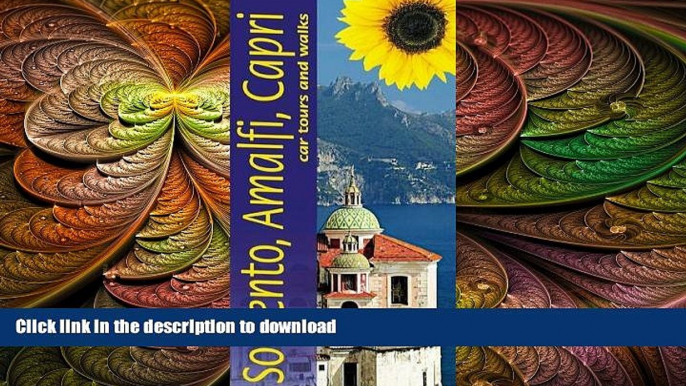 READ  Sunflower Landscapes of Sorrento, Amalfi and Capri: A Countryside Guide FULL ONLINE