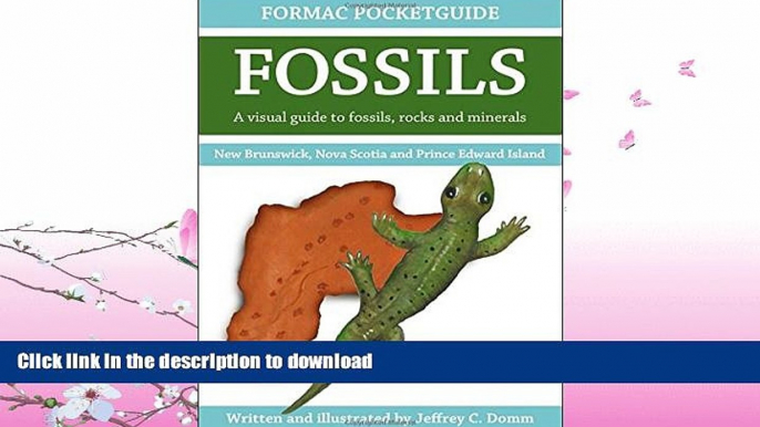 READ BOOK  Formac Pocketguide to Fossils: Fossils, Rocks   Minerals in Nova Scotia, New Brunswick