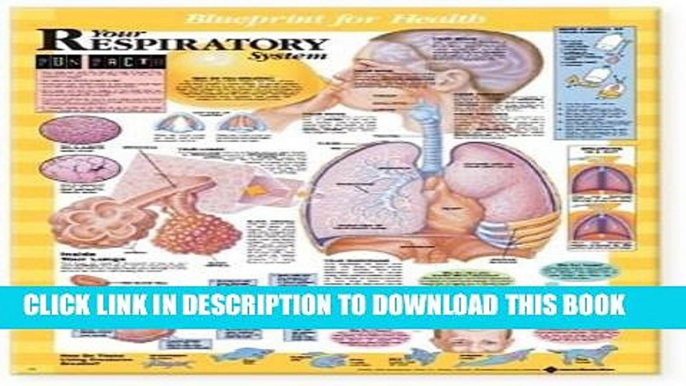 [READ] EBOOK Blueprint for Health Your Respiratory System Chart BEST COLLECTION