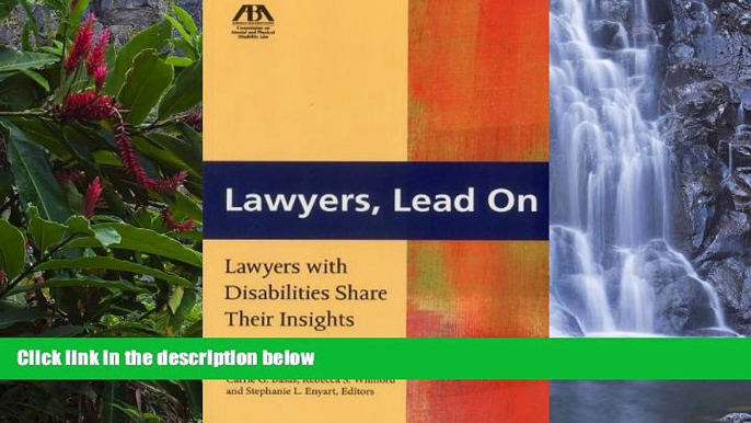 Deals in Books  Lawyers, Lead On: Lawyers with Disabilities Share Their Insights  READ PDF Full PDF