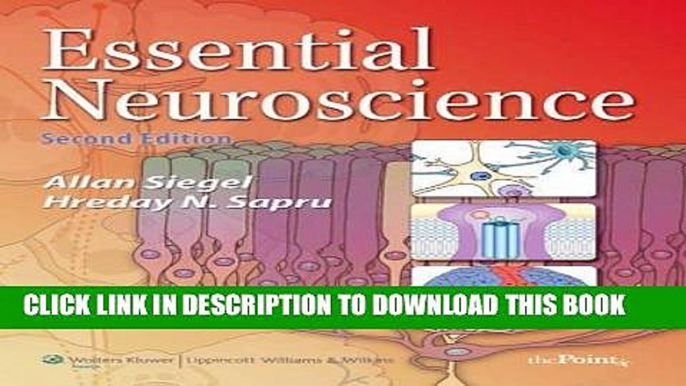 Best Seller Essential Neuroscience (Point (Lippincott Williams   Wilkins)) Free Read