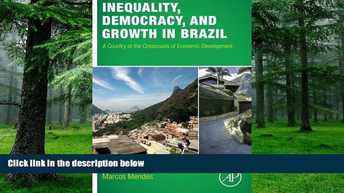 Big Deals  Inequality, Democracy, and Growth in Brazil: A Country at the Crossroads of Economic