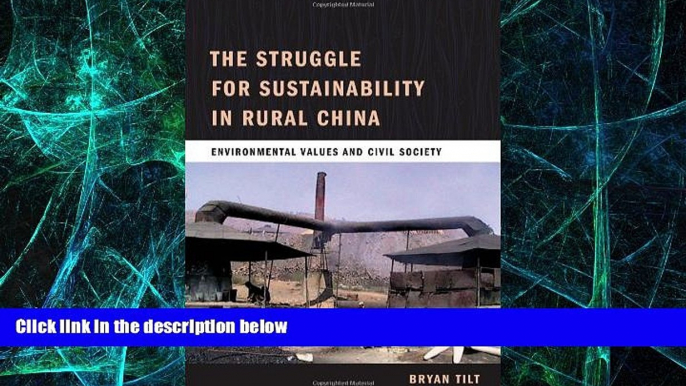 Big Deals  The Struggle for Sustainability in Rural China: Environmental Values and Civil Society