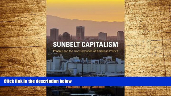 Must Have  Sunbelt Capitalism: Phoenix and the Transformation of American Politics (Politics and