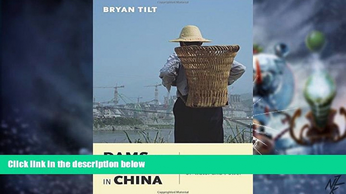 Big Deals  Dams and Development in China: The Moral Economy of Water and Power (Contemporary Asia