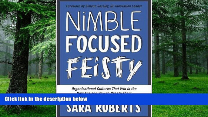 Big Deals  Nimble, Focused, Feisty: Organizational Cultures That Win in the New Era and How to