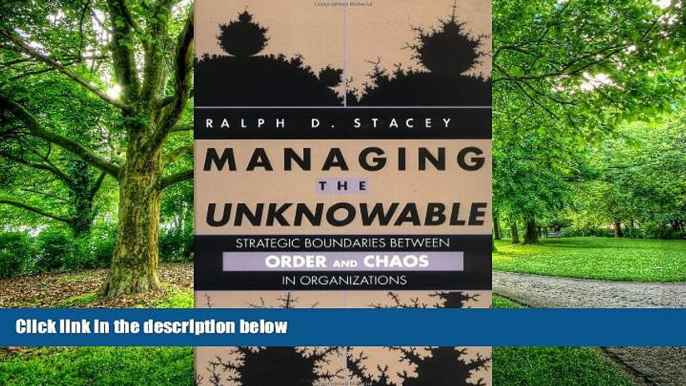 Big Deals  Managing the Unknowable: Strategic Boundaries Between Order and Chaos in Organizations