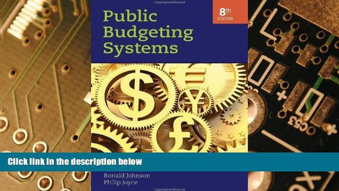 Big Deals  Public Budgeting Systems  Free Full Read Best Seller