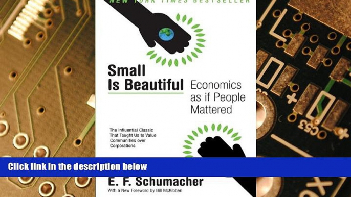 Big Deals  Small Is Beautiful: Economics as if People Mattered  Free Full Read Best Seller