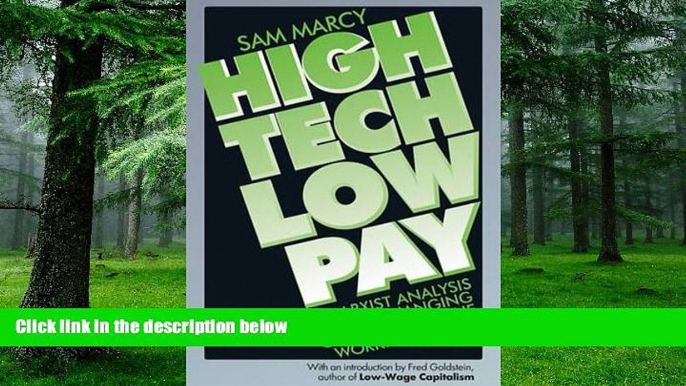 Must Have  High Tech Low Pay: A Marxist Analysis of the Changing Character of the Working Class