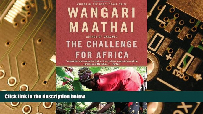 Big Deals  The Challenge for Africa  Best Seller Books Best Seller