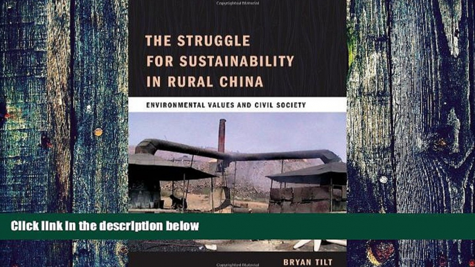 Big Deals  The Struggle for Sustainability in Rural China: Environmental Values and Civil Society