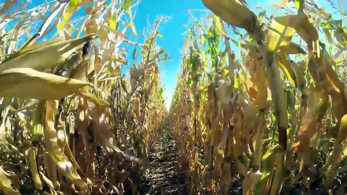 farming technology modern marvels, tractor working on the farm, modern farming technology