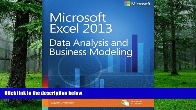 Big Deals  Microsoft Excel 2013 Data Analysis and Business Modeling  Best Seller Books Best Seller